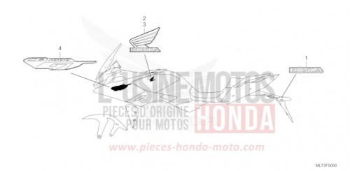 MARKE (ED,FO,PH,TH) CB1000GTT de 2026